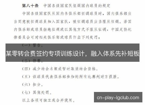 某零转会费签约专项训练设计，融入体系先补短板
